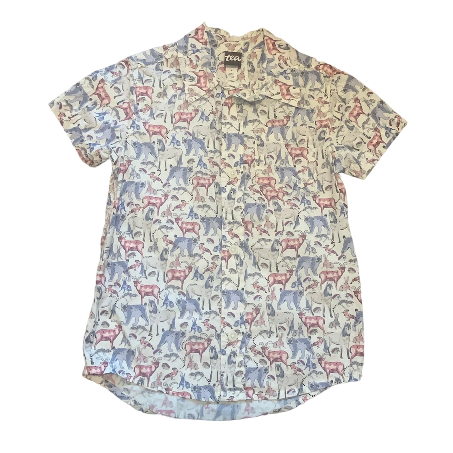 Size 4 Tea Brand Top
