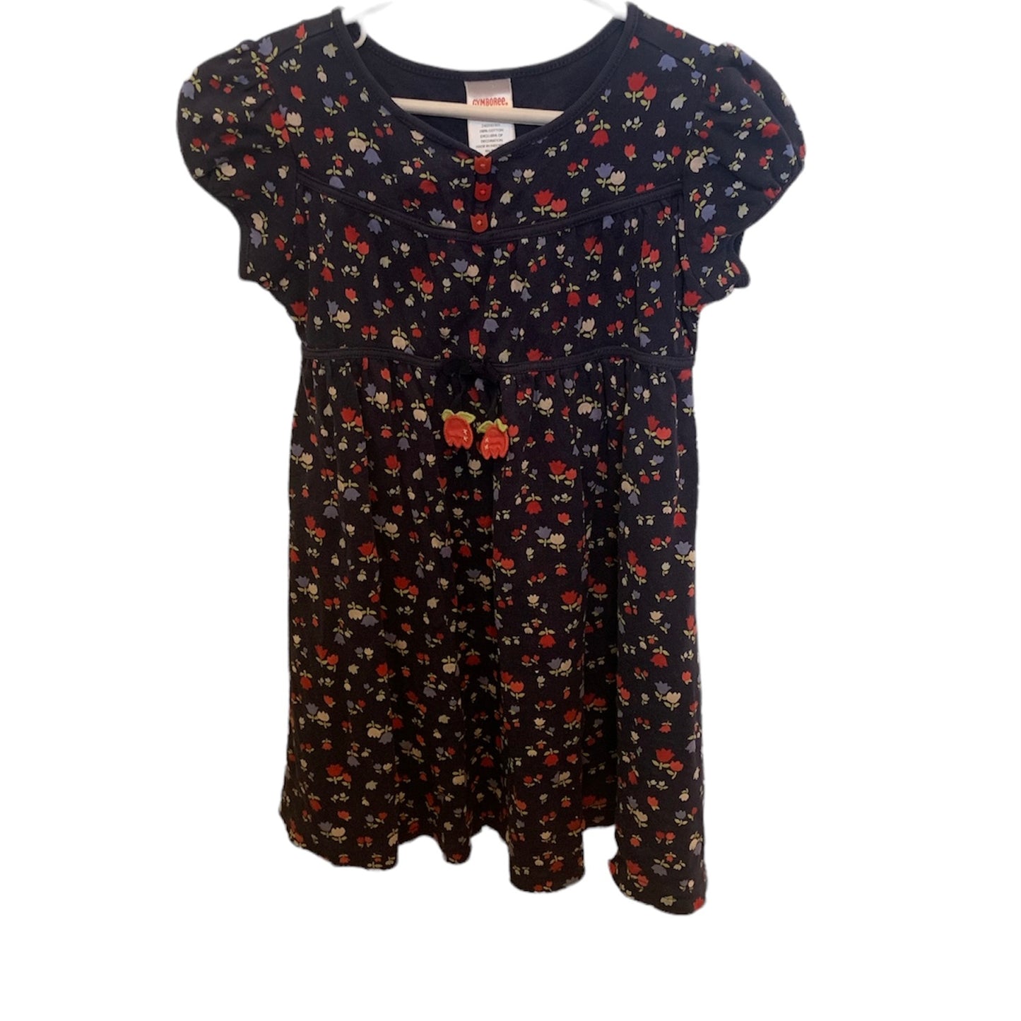 Size 4 Gymboree Holland Days Dress