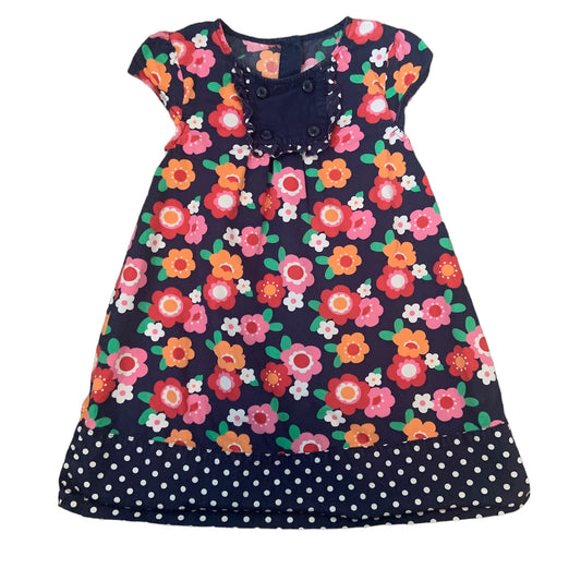 Size 4T Gymboree Smart Little Lady Dress