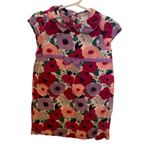 Size 2T Gymboree Back To Blooms Dress